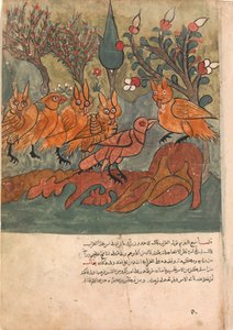カラスのスパイがフクロウの王とその閣僚に話しかける, カリラのフォリオ., 18 世紀.
