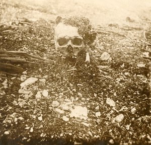 皇太子、北フランス、ベルダン、1916 作： Unbekannt