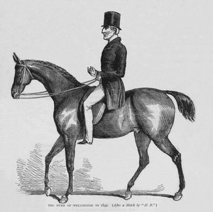 ウェリントン公爵、1842年1878年 作： Unbekannt