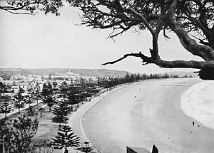 エスパーネード、マンリービーチ、c1900。 作： Unbekannt