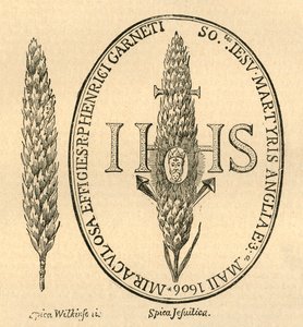 わらの中の顔。 -Abbots Anthologia、1613、1897から。 作： Unbekannt