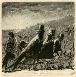 ツバメの飛行、1882。 作： Unbekannt