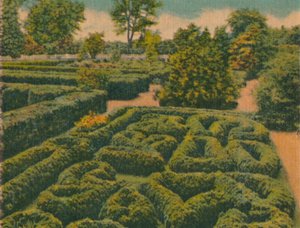 フラワーガーデン、全体像、1946 作： Unbekannt