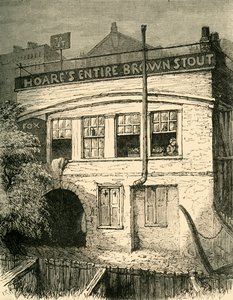フォックスアンダーザヒル、1881。 作： Unbekannt