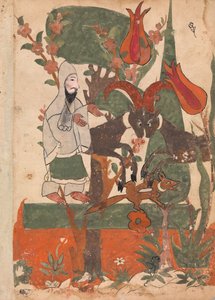 苦行者によって観察されたキツネと戦う雄羊、カリラ ワ ディムナのフォリオ、18 世紀。 作： Unbekannt