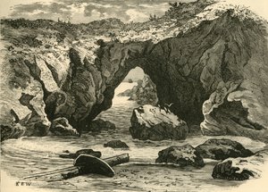 フライパン、1898年。 作： Unbekannt