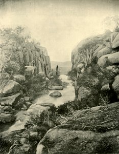 峡谷、バッファロー滝、ビクトリア朝のアルプス、1901。 作： Unbekannt