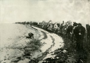 グレートセルビアリトリート、1919年。 作： Unbekannt