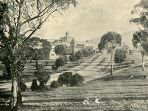 ホバート展、1901年。 作： Unbekannt