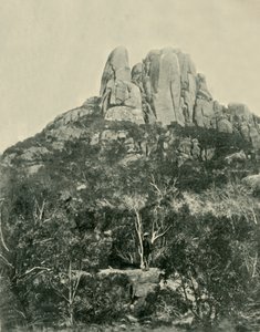 ハンプ、バッファロー山脈、1901年。 作： Unbekannt