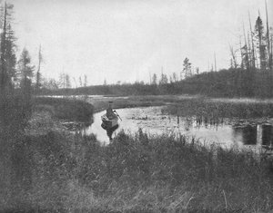 インレット、サンダーレイク、ウィスコンシン、c1897。 作： Unbekannt