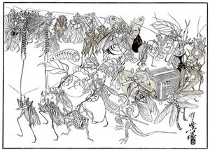 昆虫ダイミオコルテジェ、1878年1886年 作： Unbekannt
