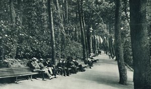Invalids Walk、c1910 作： Unbekannt