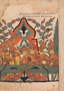 臣下と相談するウサギの王 Kalila wa Dimnaのフォリオ 18世紀 作： Unbekannt