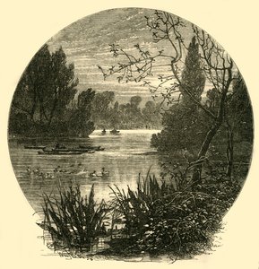 湖、バタシーパーク、c1878。 作： Unbekannt