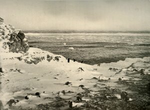 3月の移住直前のペンギンの最後、c1908、1909。 作： Unbekannt