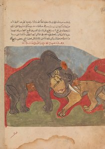 ライオンと象の戦い、カリラ ワ ディムナのフォリオ、18 世紀。