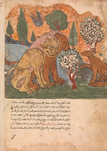 18 世紀のカリラ ワ ディムナからディムナ、フォリオを受け取るライオン キング。