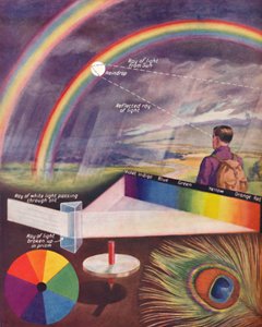 白色光を構成する多くの色、1935 作： Unbekannt