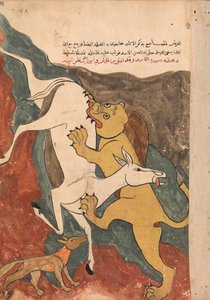 狐が驢馬を獅子に誘って死なせた話を猿が語る... 18世紀 作： Unbekannt