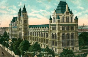 国立歴史博物館、ロンドン、c1910。 作： Unbekannt