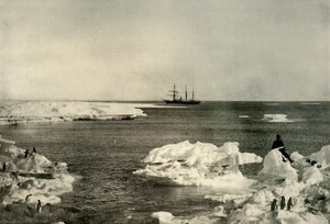 ペンギンの繁殖地、1908年、1909年に横たわるニムロッド。 作： Unbekannt