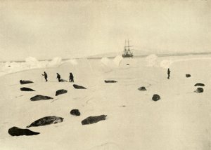 1909年3月4日のPramポイントのニムロッド 作： Unbekannt