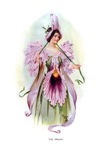 オーキッド、1899年 作： Unbekannt