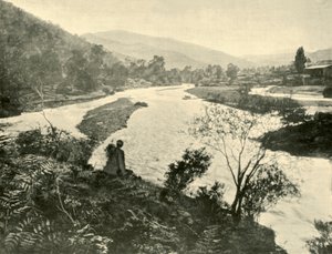 ブライトのオーブン、1901年。 作： Unbekannt