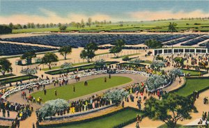 サンタアニタのパドック、ロサンゼルスターフクラブ、アルカディア、カリフォルニア、1930年代。