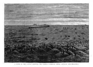 パンパス鉄道、南アメリカの低地、1877 作： Unbekannt