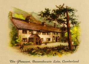 キジ、バッセンスウェイト湖、カンバーランド、1936。 作： Unbekannt