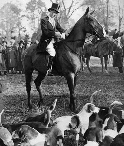 1923年ビューフォートハントとプリンスオブウェールズ 作： Unbekannt