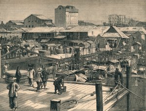 カントンでの最近の暴動、c1883。 作： Unbekannt
