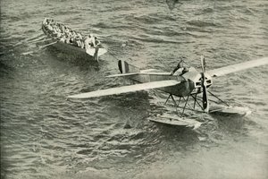 鳩の箱舟への帰還、1919年。 作： Unbekannt