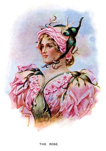 バラ、1899年