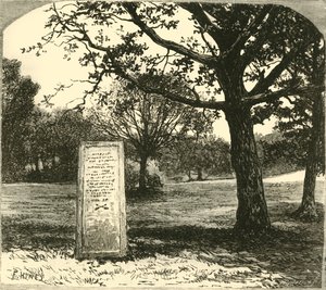 新しい森のルーファスストーン、1890年。 作： Unbekannt