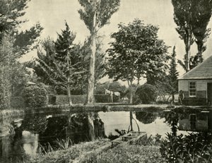 サーモンの池、ニューノーフォーク、1901年。 作： Unbekannt