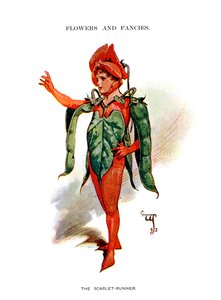 スカーレットランナー、1899年 作： Unbekannt