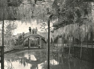 The Shinji-No-Ike Pond and wisteria, Kameido, Tokyo, Japan, 1895.  作： Unbekannt