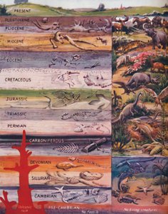 ロックスでの生活の継承、1935 作： Unbekannt