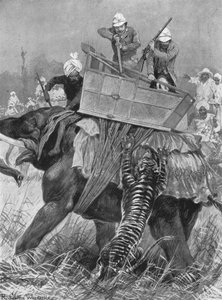 1876年のプリンスオブウェールズのインド訪問：1901年、タイガーが象の王子を起訴。
