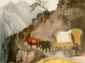 フォールトレッカーの道、1931 作： Unbekannt