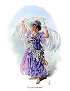 ワイルドヒヤシンス、1899年 作： Unbekannt
