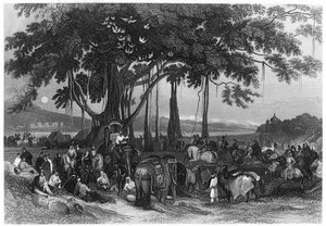インド、シーク不規則騎兵隊の偶発力の到着、c1860