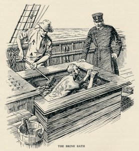 ブラインバス、1834、1934 作： Unbekannt