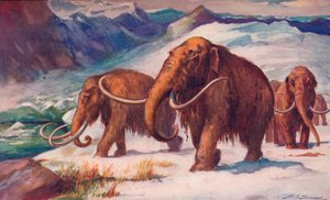 マンモスが地球を歩き回って人間が生まれた氷河期初期、1907 作： Unbekannt
