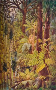 石炭紀、1907年の巨大な植生。 作： Unbekannt