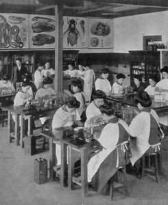 1910年の日本の女性の高等教育 作： Unbekannt