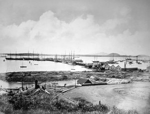 ポート、ニュージーランド、オークランド、c1870-1880 作： Unbekannt